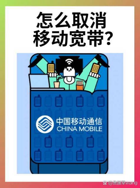 移动宽带电视可以取消吗