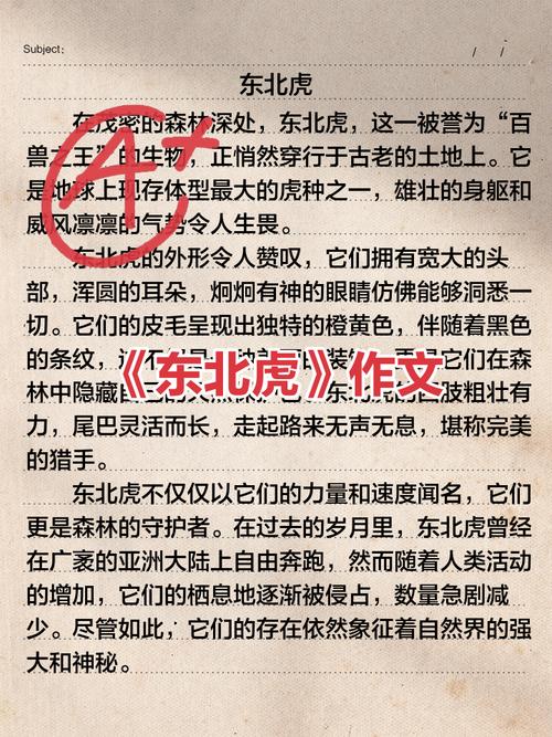 神都猛虎 全文