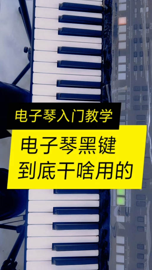 电子琴白键和黑键每个代表什么