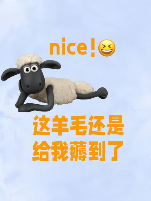 薅羊毛了截图3