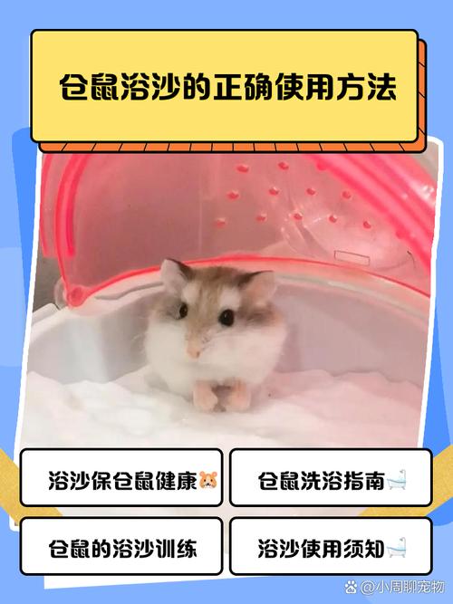 仓鼠洗澡浴沙洗多久