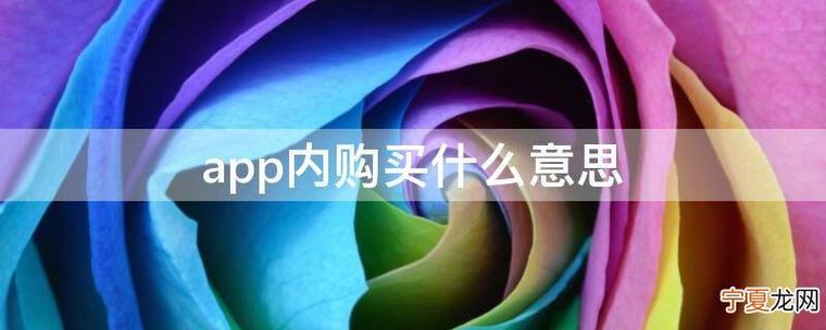 苹果商店的app内购买什么意思截图3