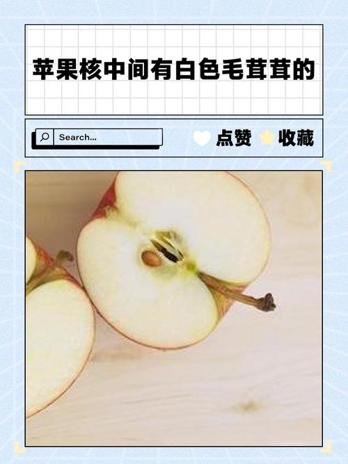 苹果核读音