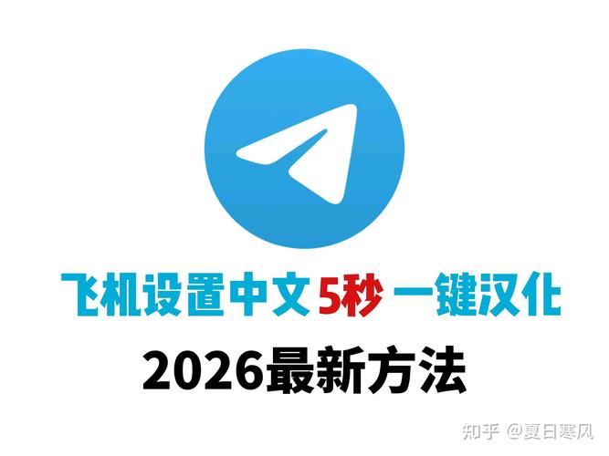 纸飞机2026中文设置