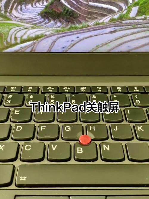 笔记本怎么解除触摸板禁用