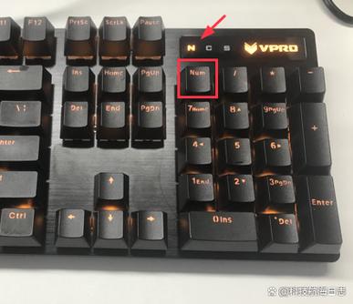 电脑键盘的右边数字怎么按不了
