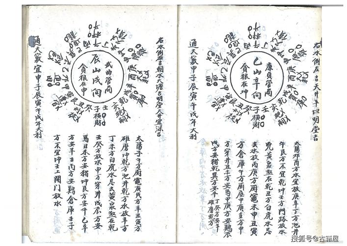 危运掌中握下载