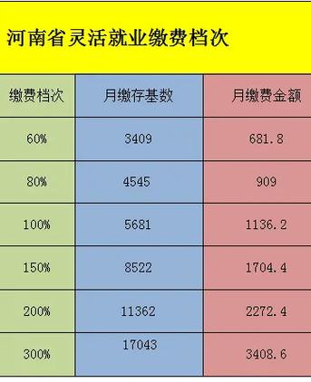 河南税务灵活就业个人缴纳社保