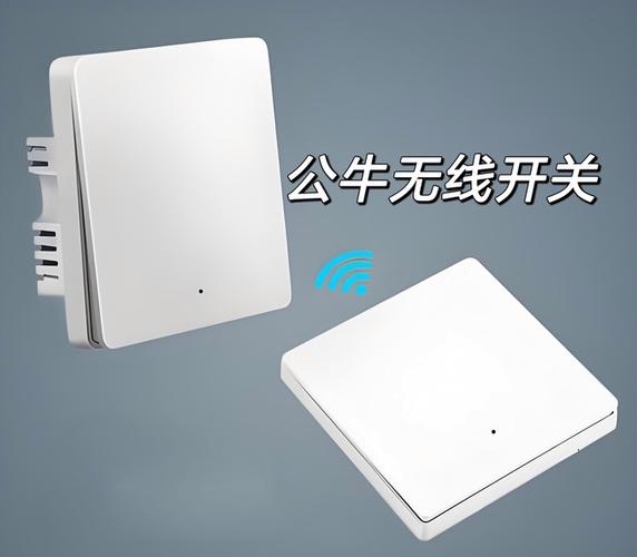 家的和公牛开关哪个好