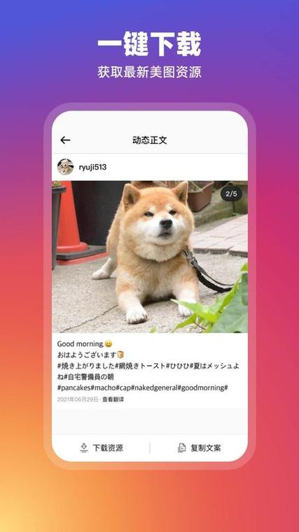 instagram免费永久