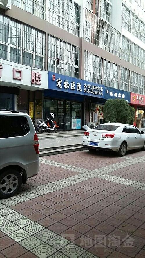 附近宠物医院地址