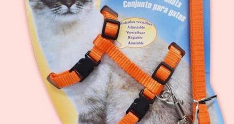 猫绳怎么套