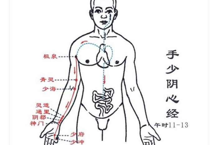 手少阴心经循行部位