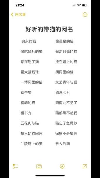跟猫有关的网名