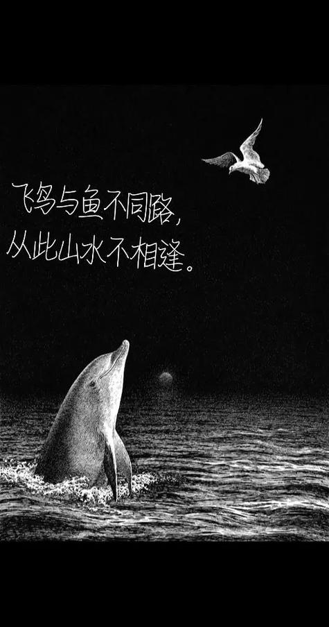 飞鸟与鱼不同路,从此山水不相逢.