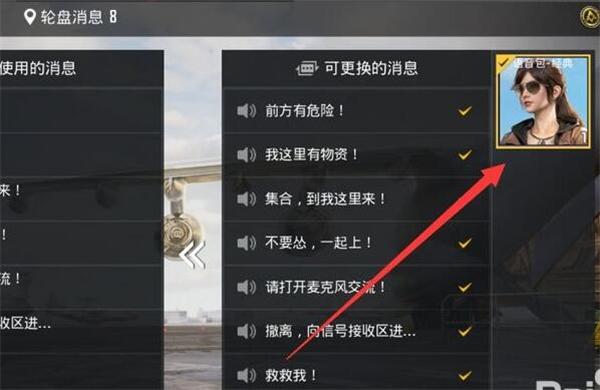 和平精英术语在哪调
