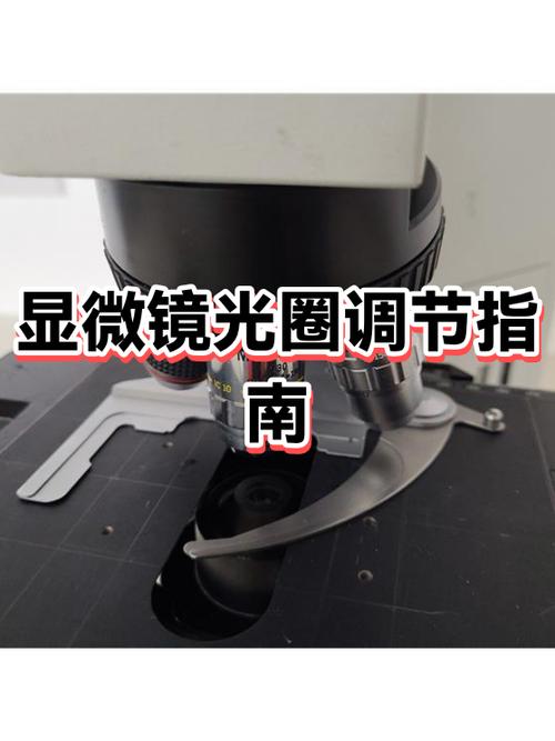 相机光圈值怎么调 相机光圈值怎么调