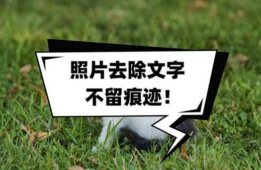照片怎么去字迹不留痕迹