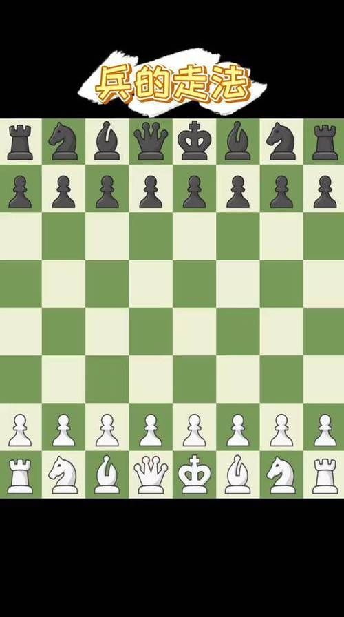 小学生国际象棋教程