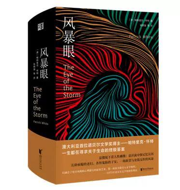风暴眼 小说