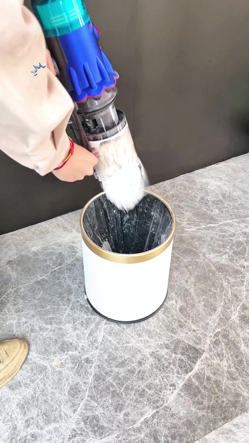 戴森吸尘器v10倒灰方法
