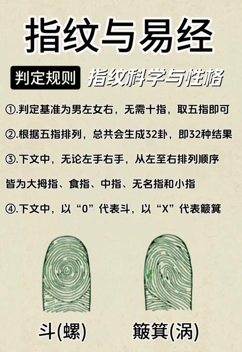 指纹类型图解大全