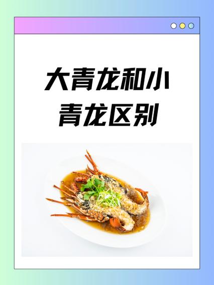 小青龙大小对比