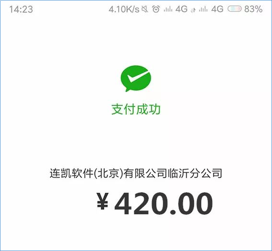 假付款成功软件