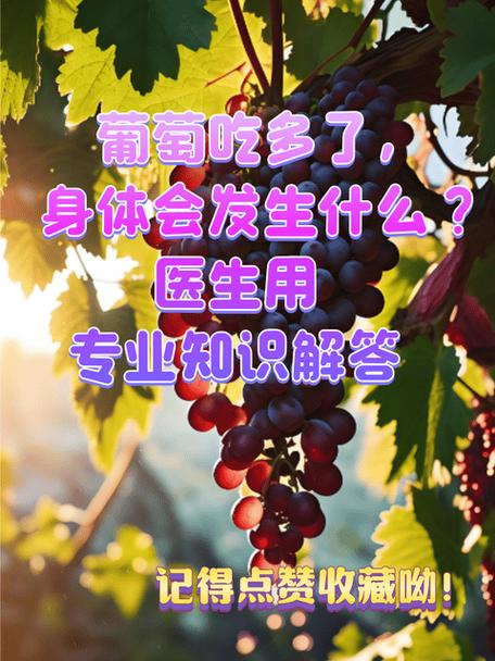 水果专业知识大全