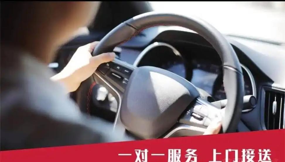 新手陪驾