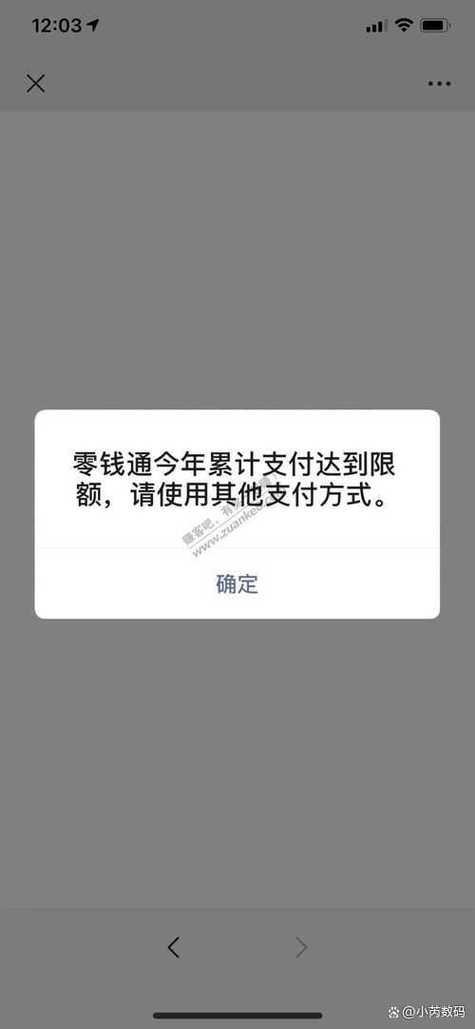 您的支付次数已达上限