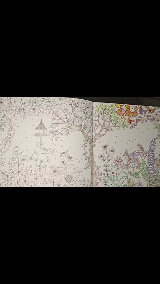 秘密花园正版涂色截图3