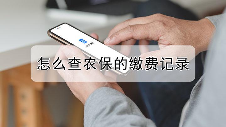 农保缴费记录在哪里查