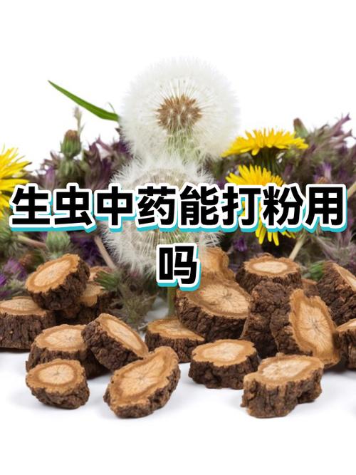 中药长虫子了还能用吗截图3