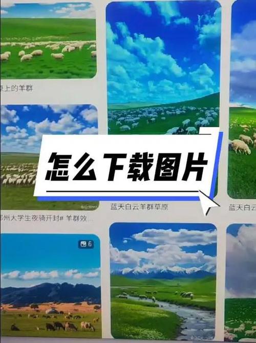 图片下载到电脑中