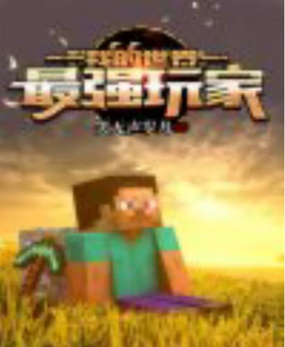 我的世界实名最强玩家