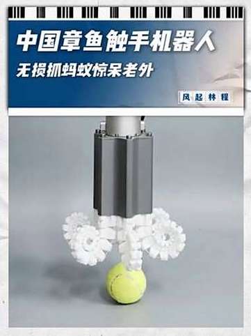 触手科技