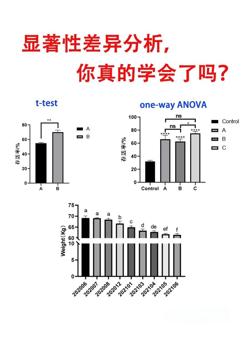 fes表达增高什么意思