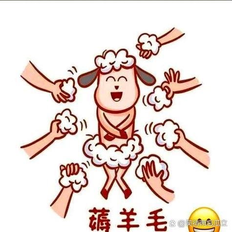 薅羊毛