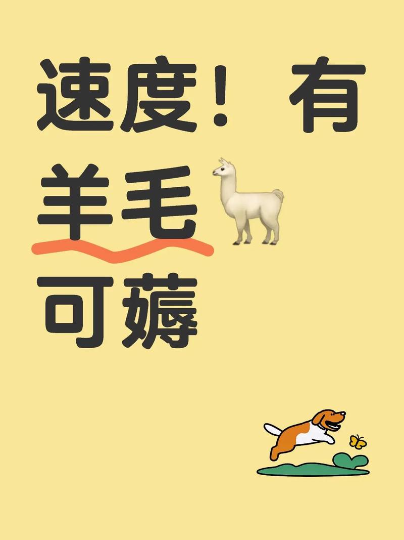 薅羊毛截图2
