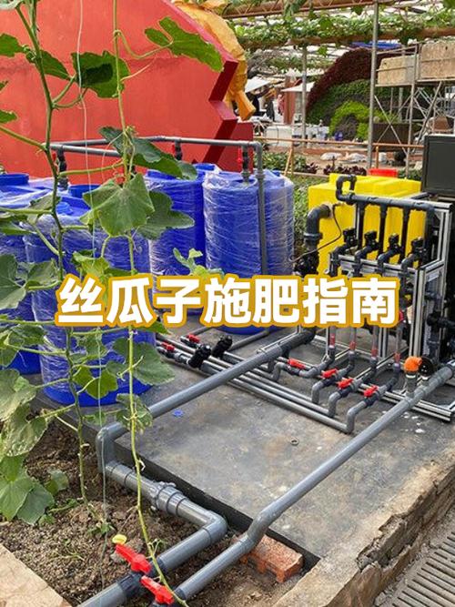 丝瓜最好的肥料
