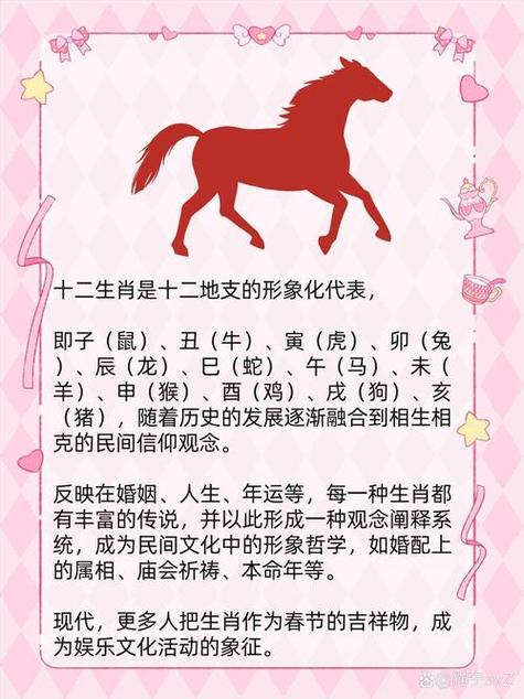月作明灯夜夜光代表什么生肖
