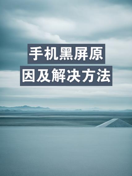 打开app黑屏