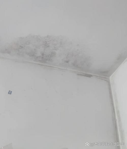 房间有霉味克星是什么
