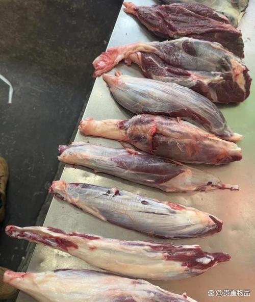 野兔肉和牛肉哪个好