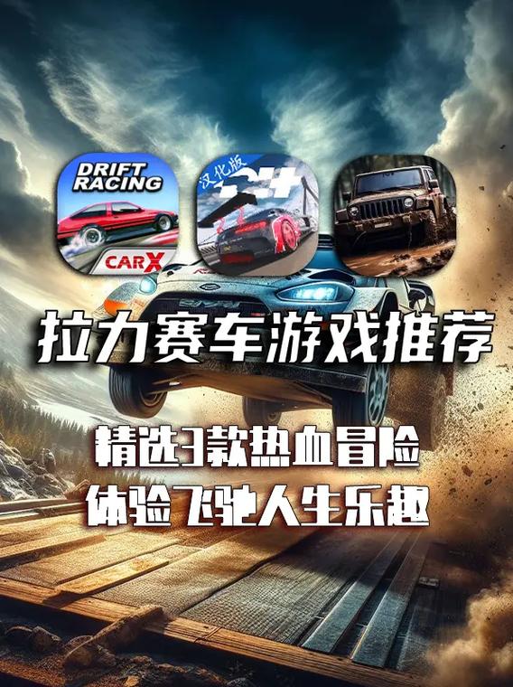 拉力赛车手机版