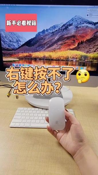 鼠标能动 但点击无反应截图3