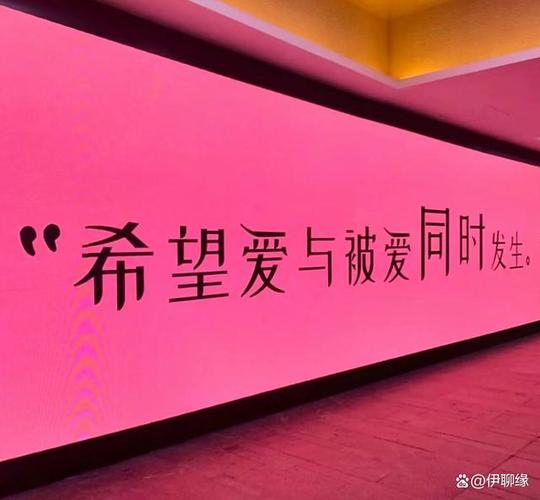 学会爱与被爱的能力
