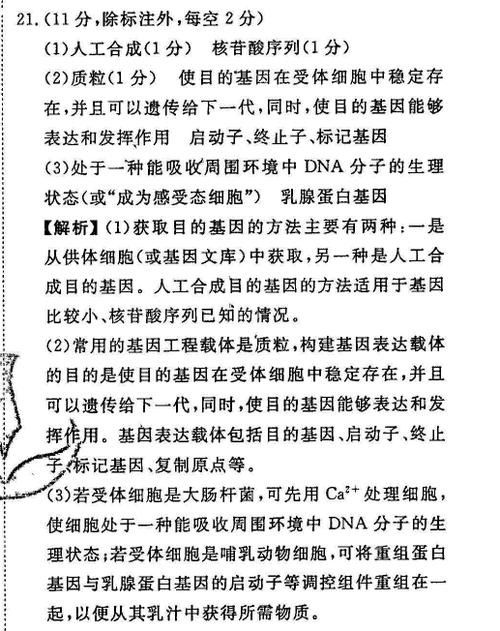 英语周报答案查阅截图2