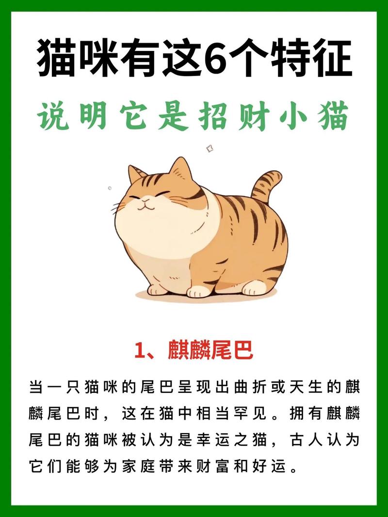 生财喵怎么打不开 生财喵怎么打不开